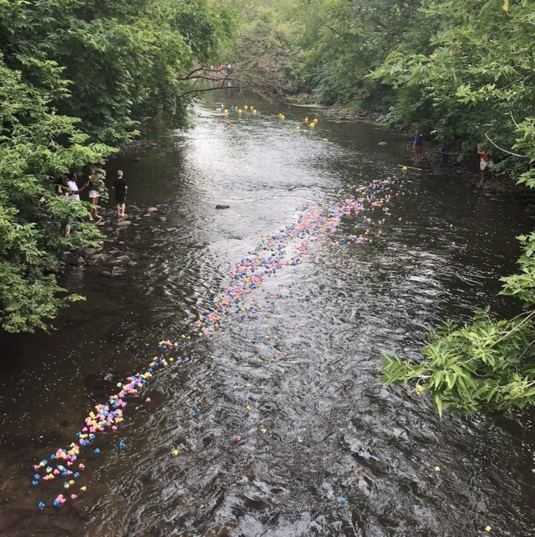 the kitchen master company outing ducks in river