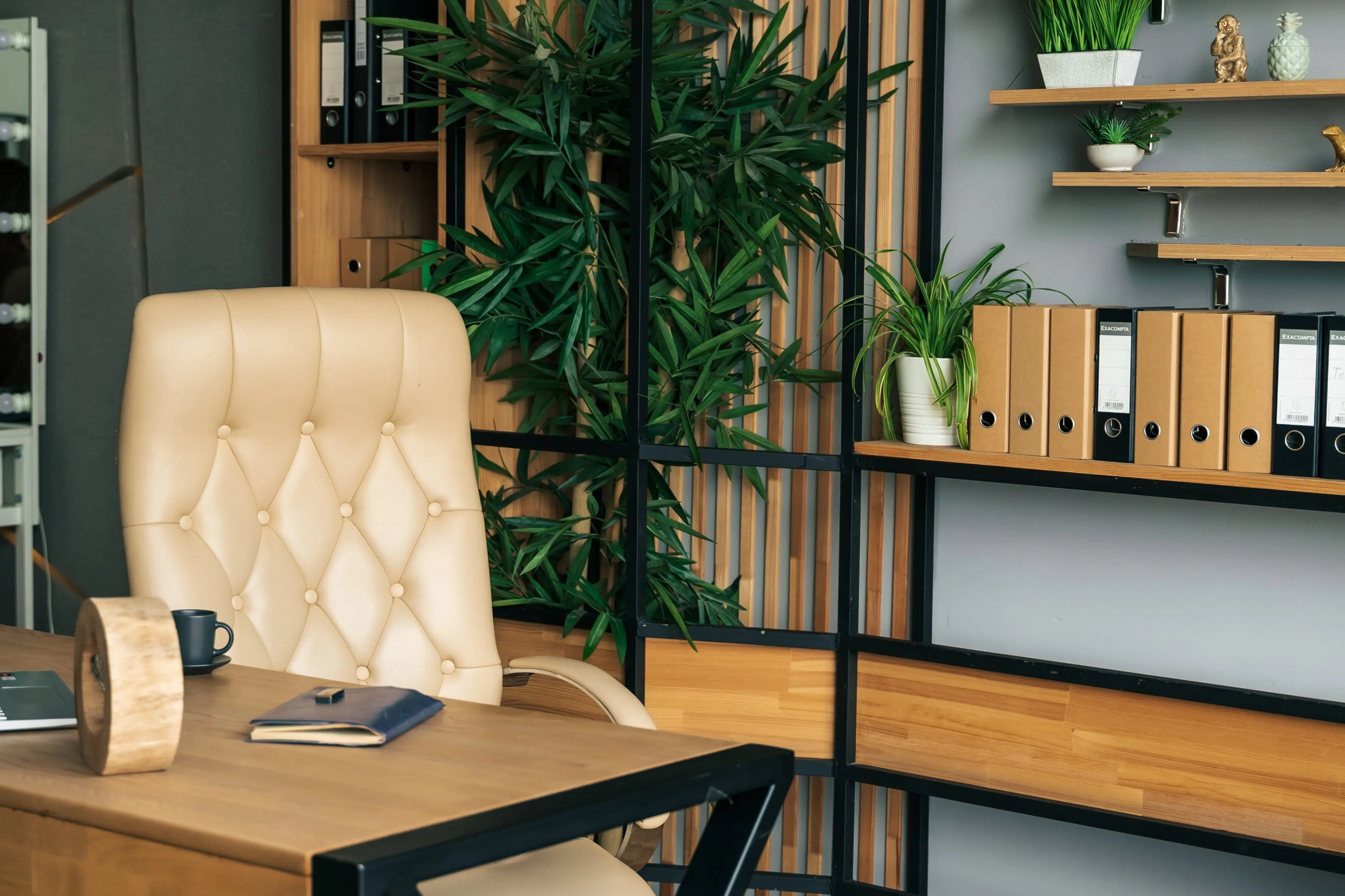 Office in Naperville, IL home
